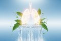 DrG. Kit Respiratorio™ — Pulmones & Oxigenación